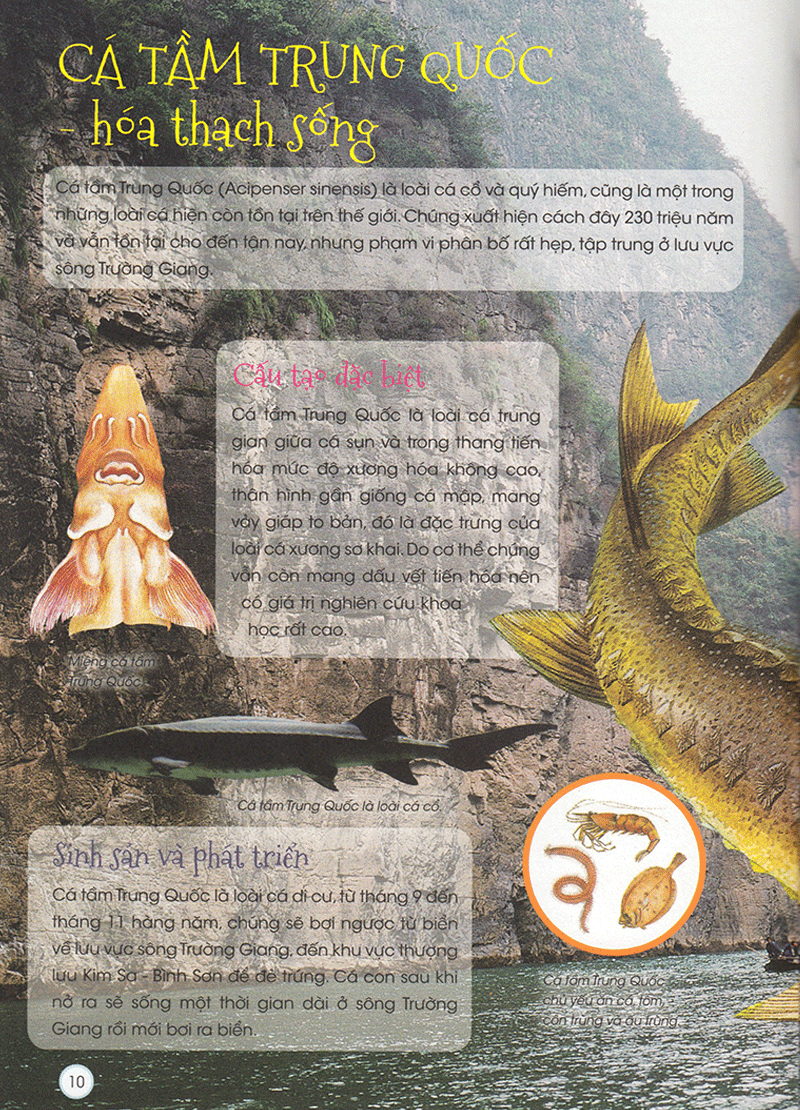 thiên nhiên - những bí mật còn ẩn giấu - động vật quý hiếm