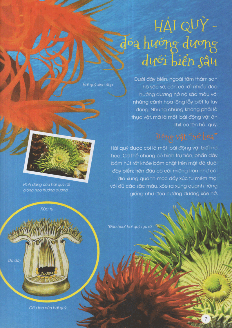 thiên nhiên - những bí mật còn ẩn giấu - động vật xinh đẹp