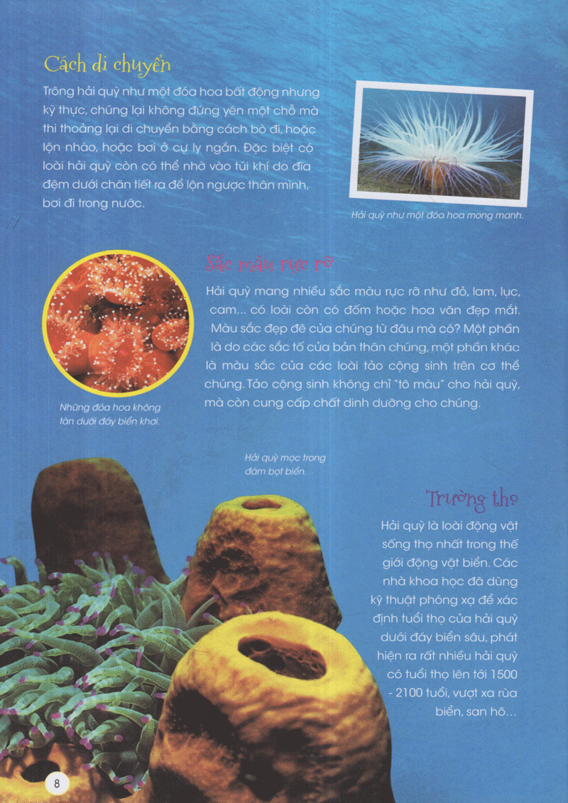 thiên nhiên - những bí mật còn ẩn giấu - động vật xinh đẹp