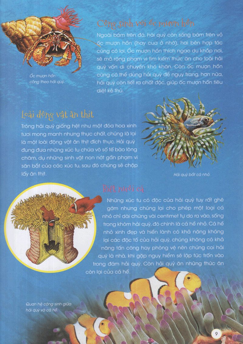 thiên nhiên - những bí mật còn ẩn giấu - động vật xinh đẹp