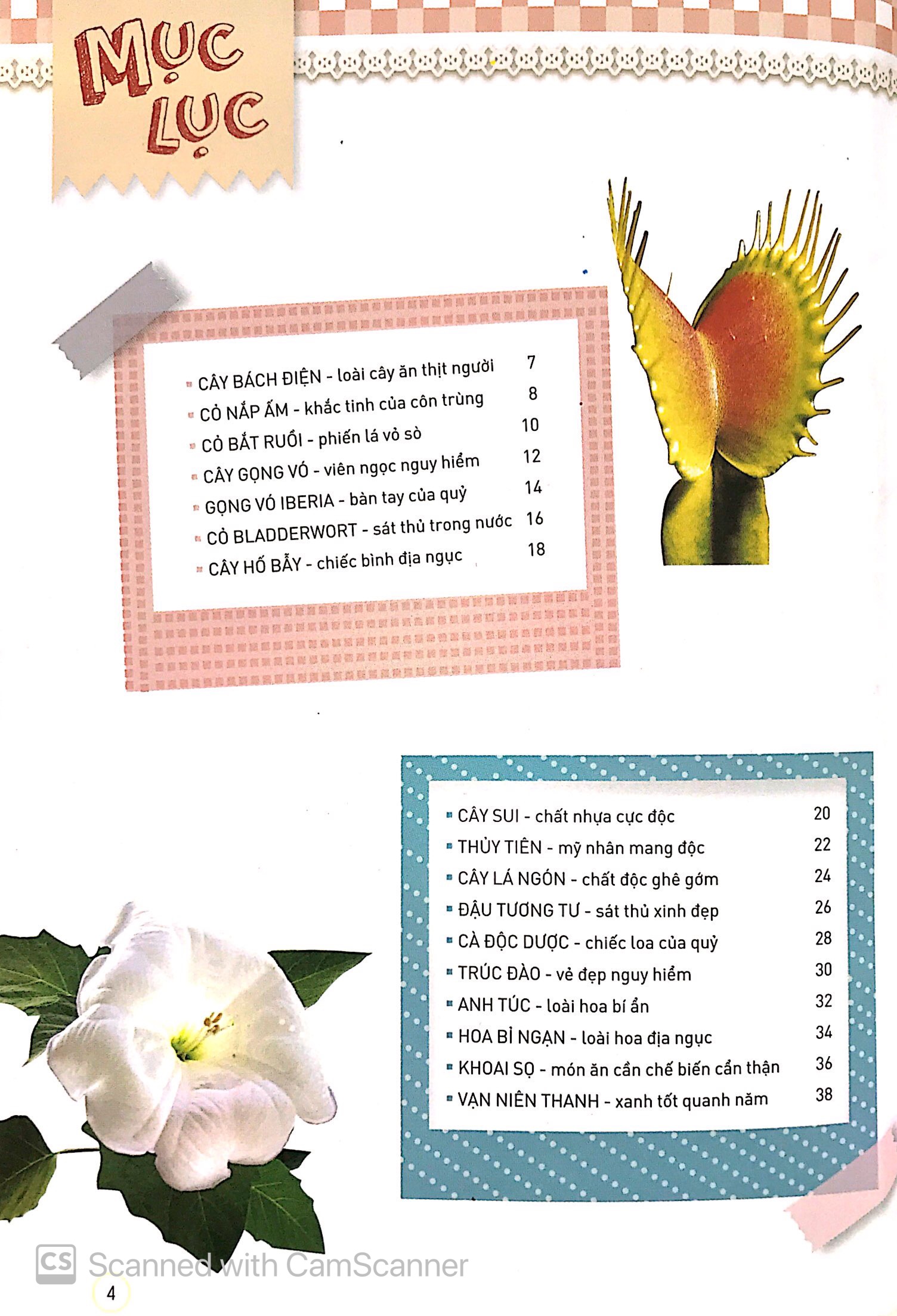 thiên nhiên - những bí mật còn ẩn giấu - thực vật thần kỳ