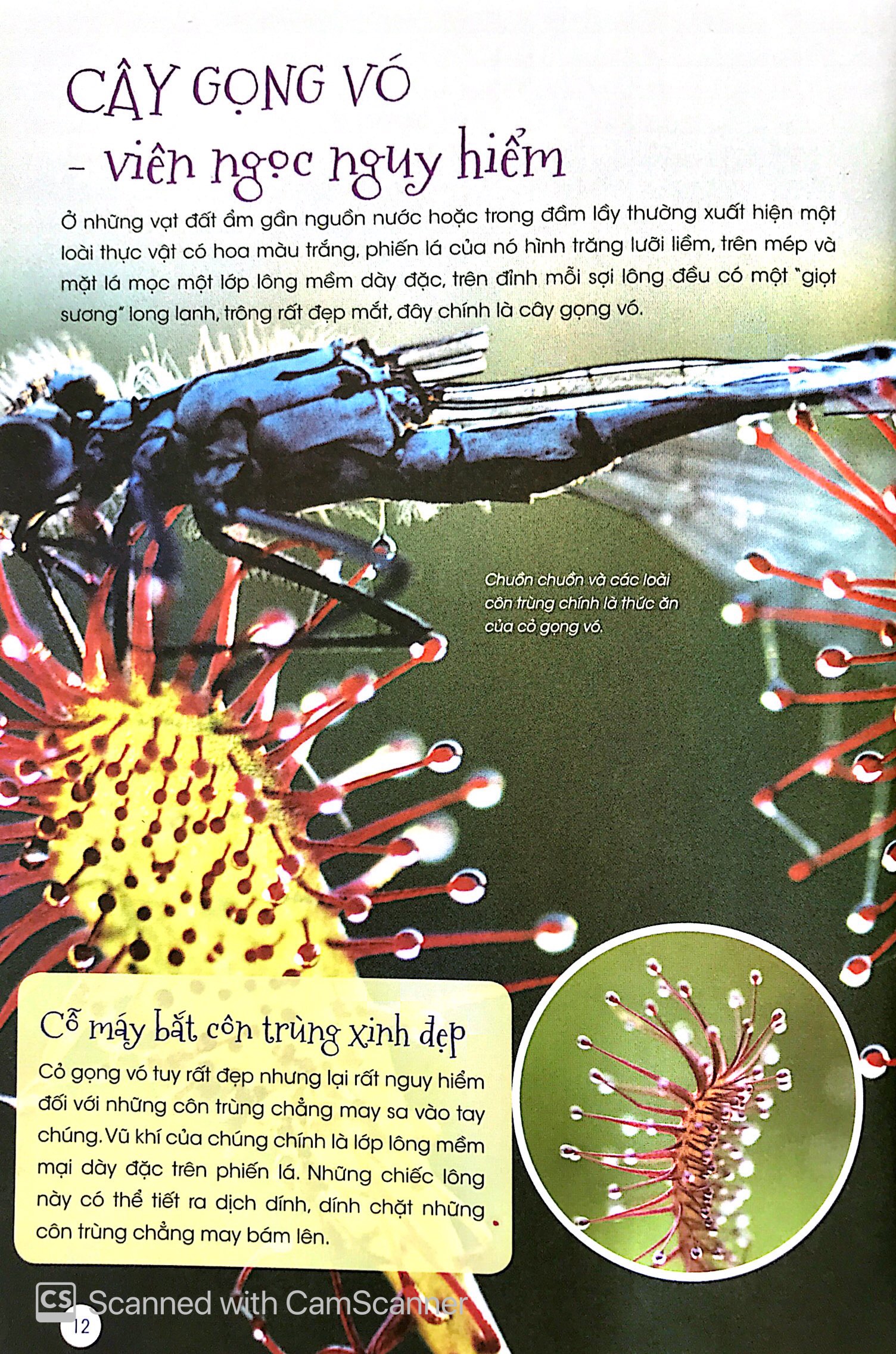 thiên nhiên - những bí mật còn ẩn giấu - thực vật thần kỳ