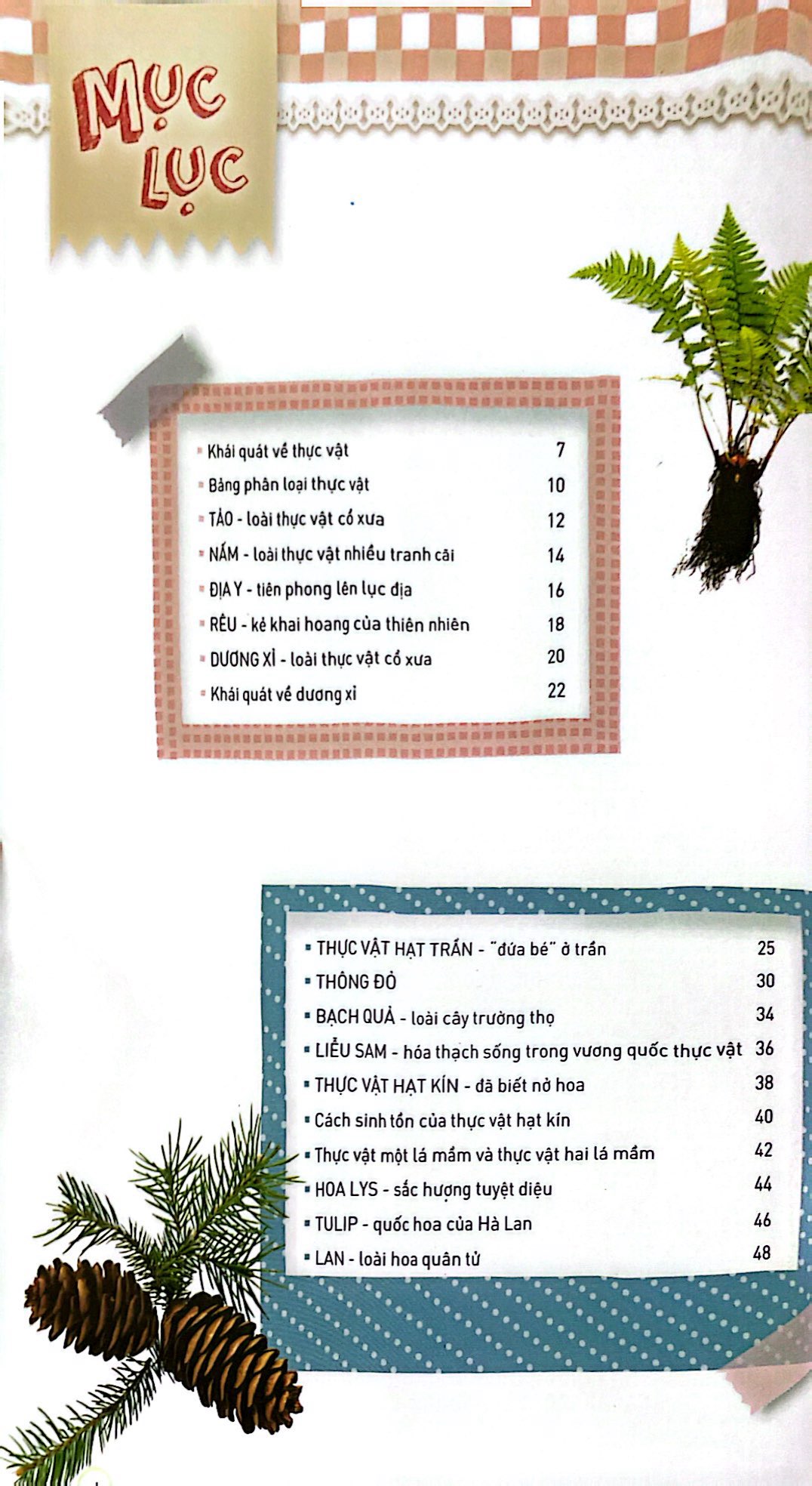 thiên nhiên - những bí mật còn ẩn giấu - thực vật xinh đẹp