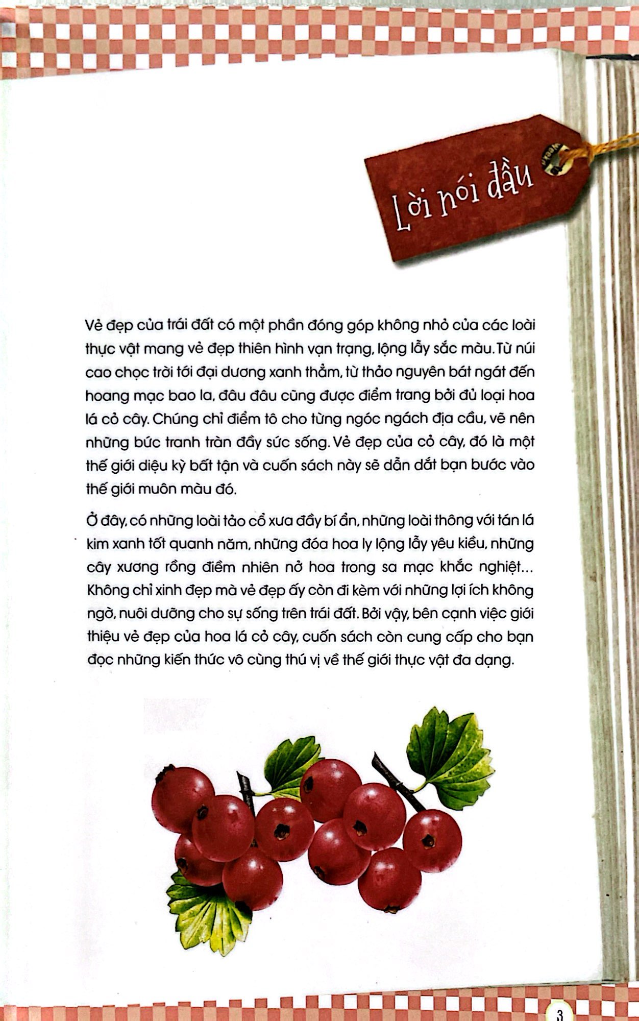 thiên nhiên - những bí mật còn ẩn giấu - thực vật xinh đẹp