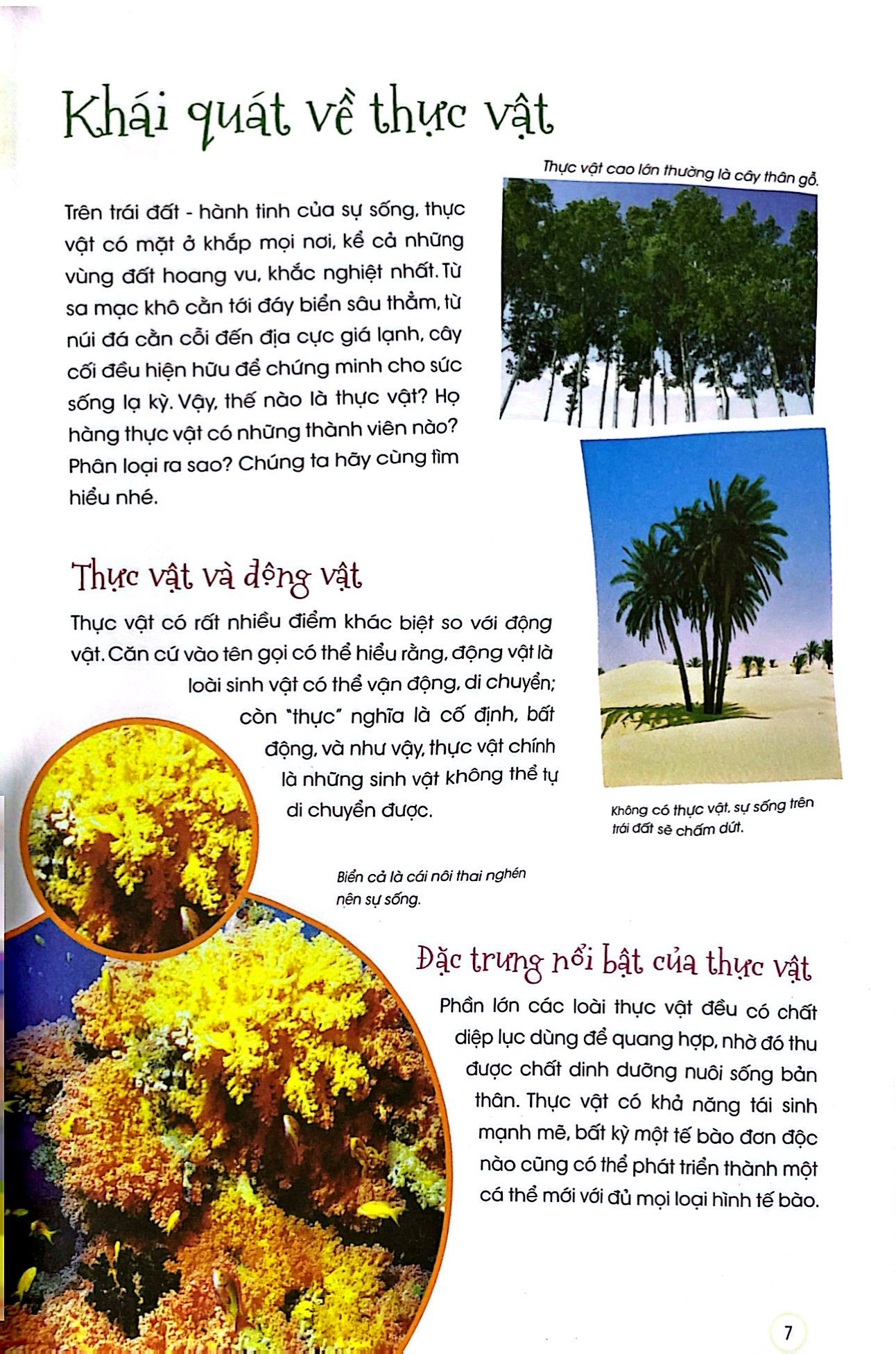 thiên nhiên - những bí mật còn ẩn giấu - thực vật xinh đẹp