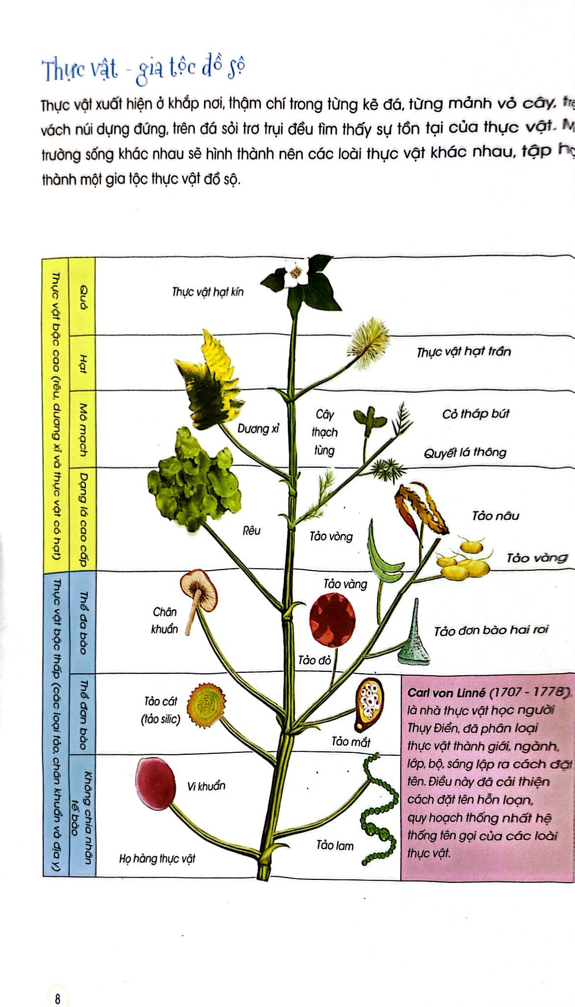 thiên nhiên - những bí mật còn ẩn giấu - thực vật xinh đẹp