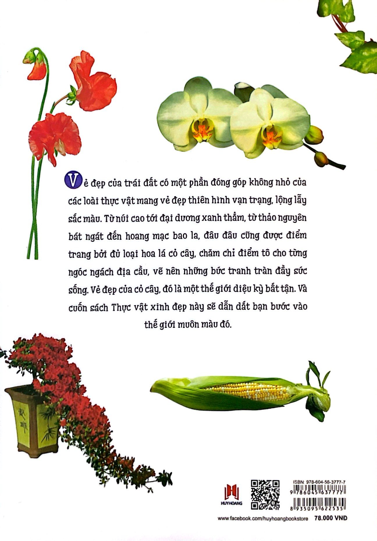 thiên nhiên - những bí mật còn ẩn giấu - thực vật xinh đẹp