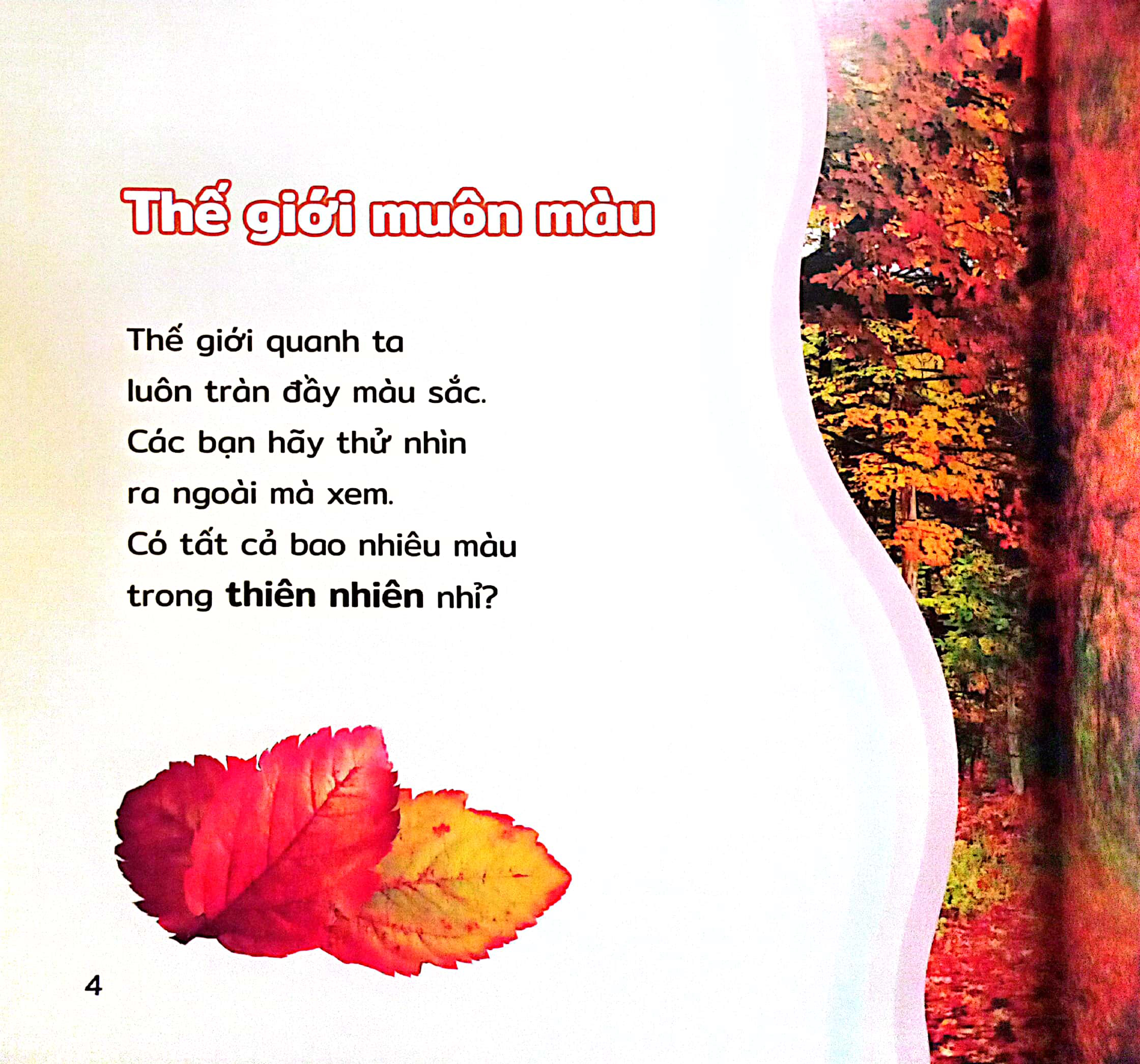 thiên nhiên quanh bé - sắc màu thiên nhiên