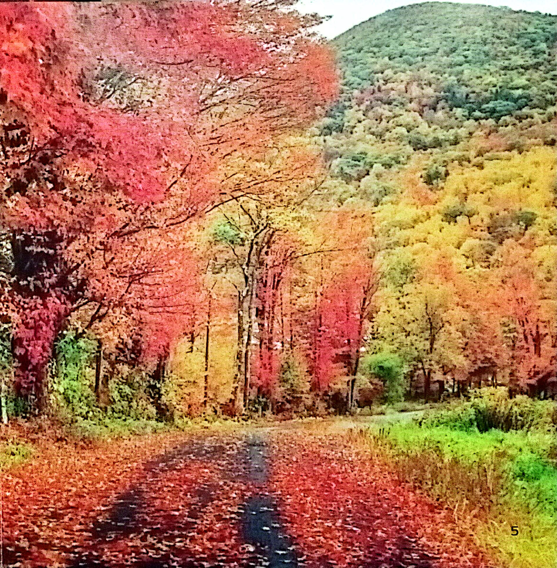 thiên nhiên quanh bé - sắc màu thiên nhiên