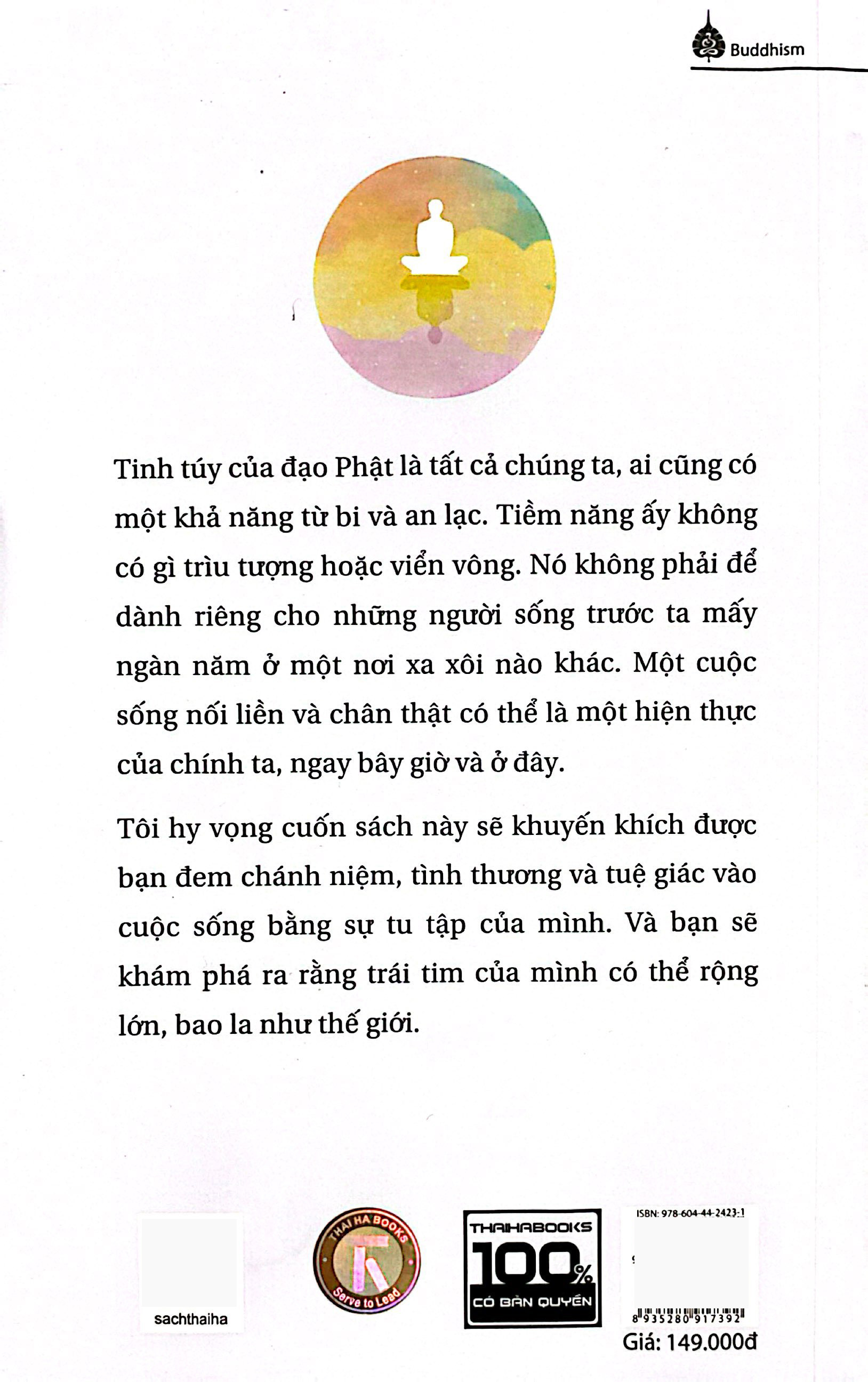 thiền tập - con đường dẫn tới tuệ giác và tâm từ