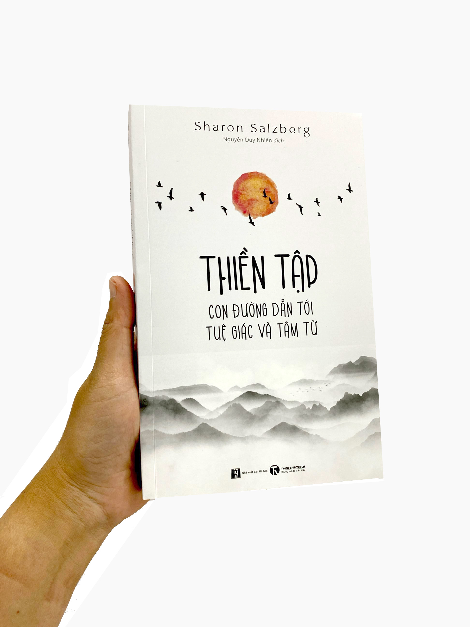 thiền tập - con đường dẫn tới tuệ giác và tâm từ