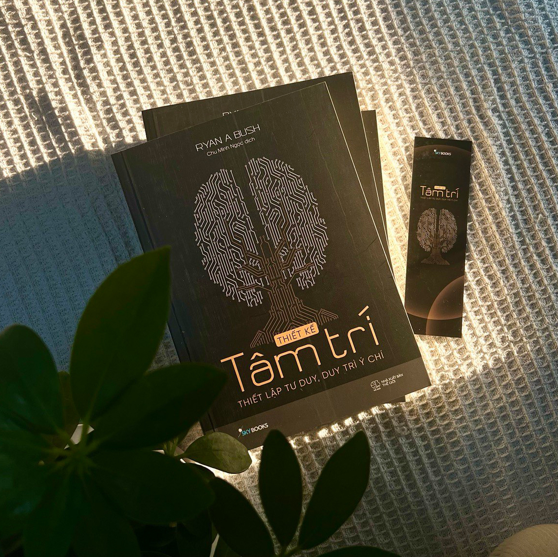 thiết kế tâm trí - thiết lập tư duy, duy trì ý chí