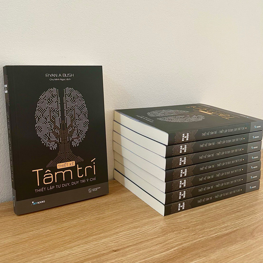 thiết kế tâm trí - thiết lập tư duy, duy trì ý chí