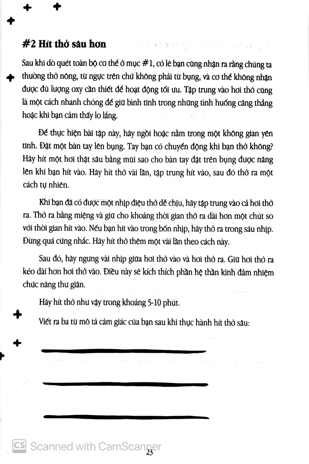 this is for you - yêu thương mình bằng trái tim dịu dàng nhất