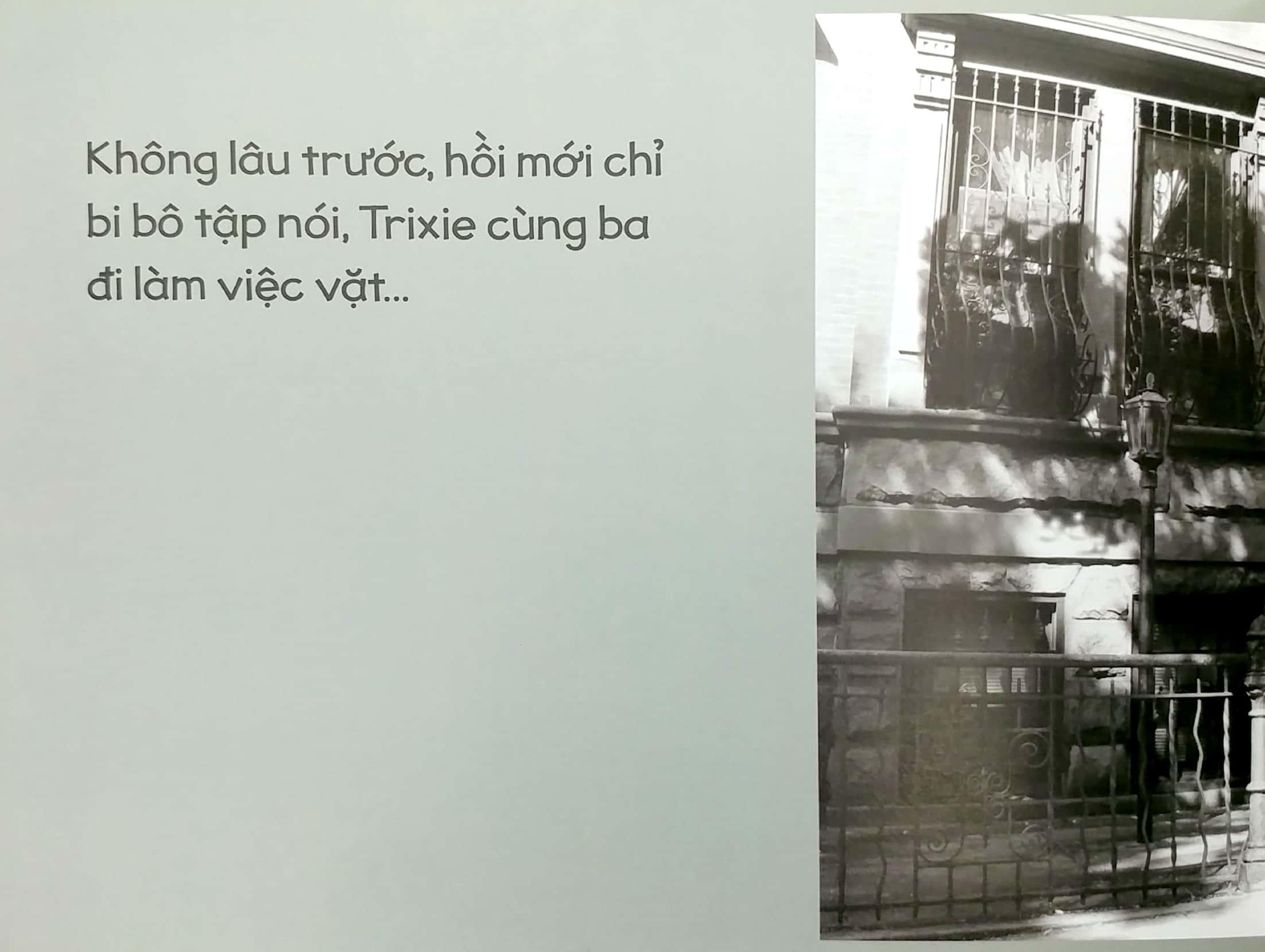 thỏ bé bồng bông