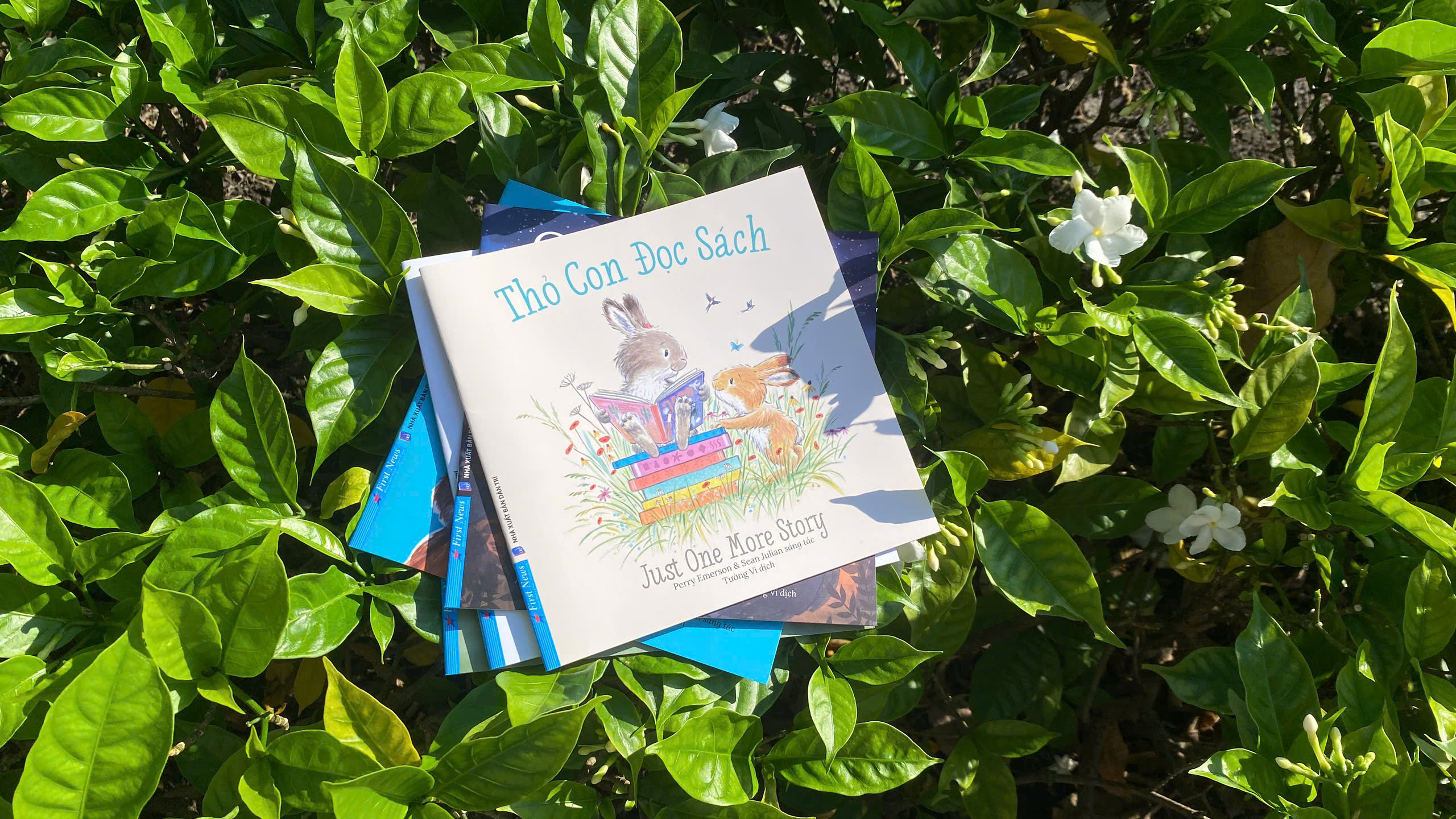 thỏ con đọc sách - just one more story