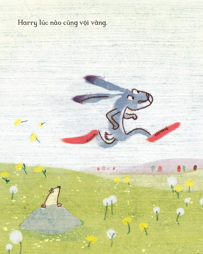 thỏ harry hấp tấp