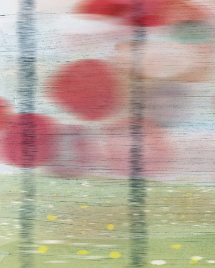 thỏ harry hấp tấp