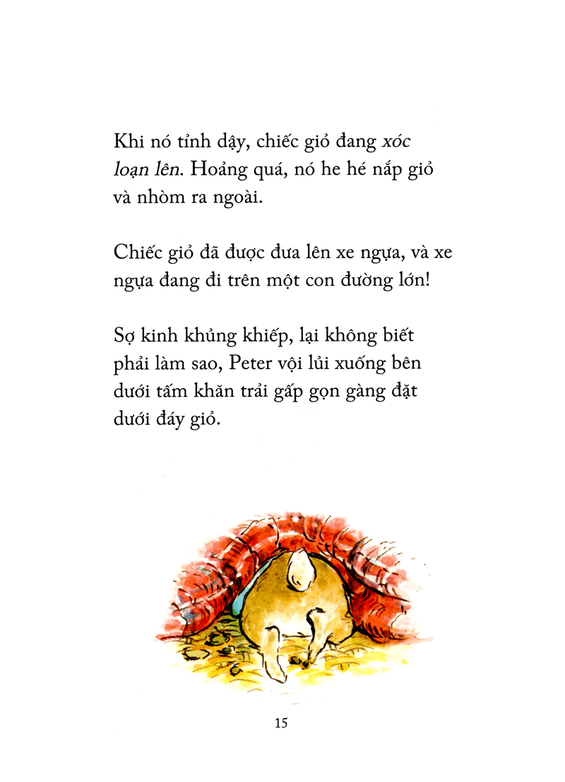 thỏ peter - chuyện bây giờ mới kể - nhà vô địch peter (tái bản 2021)