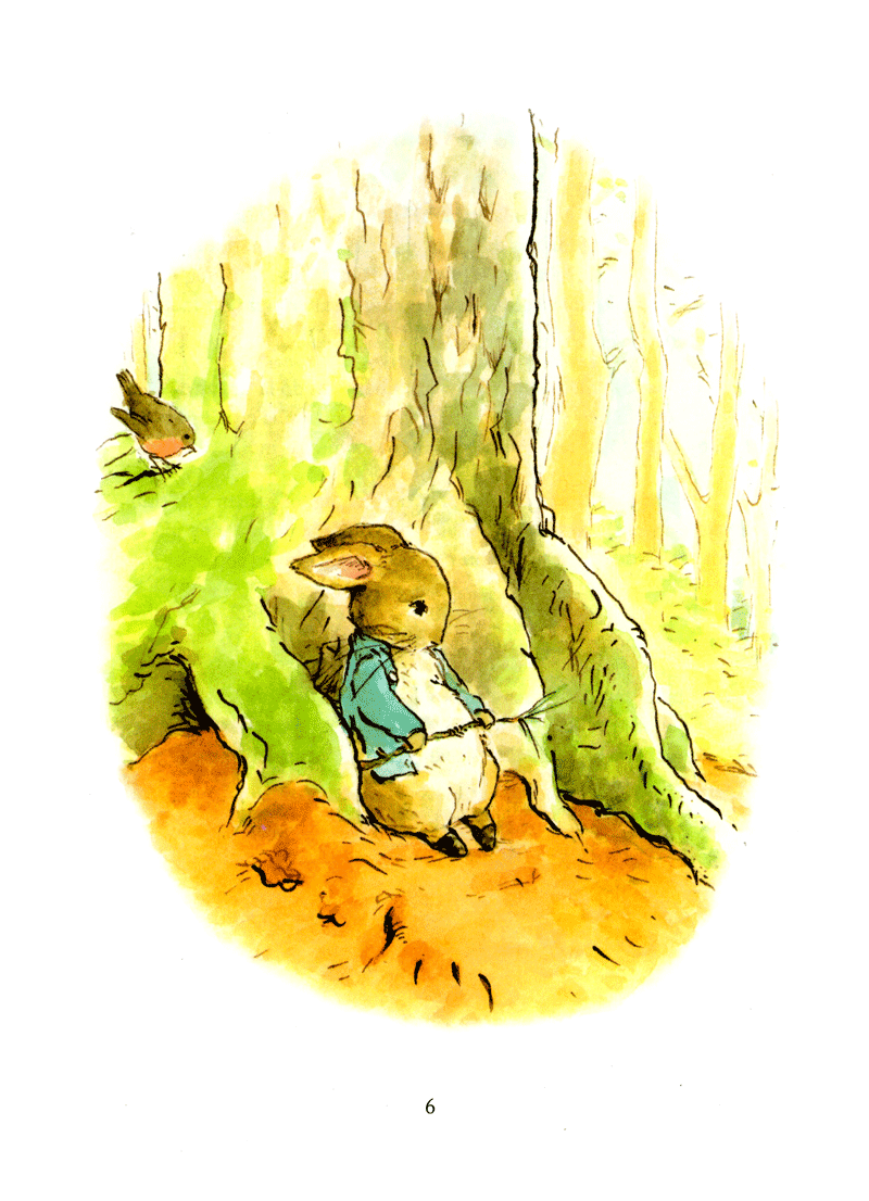 thỏ peter - chuyện bây giờ mới kể - nhà vô địch peter (tái bản 2021)