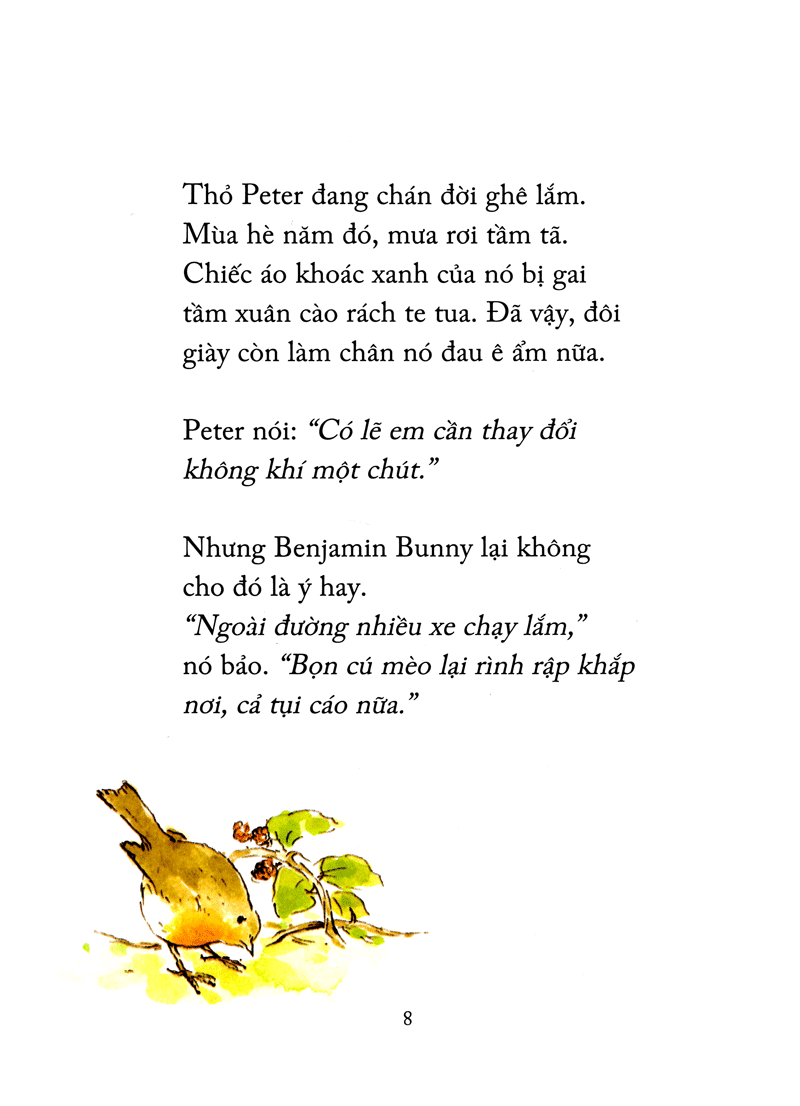 thỏ peter - chuyện bây giờ mới kể - nhà vô địch peter (tái bản 2021)