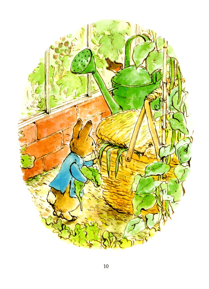 thỏ peter - chuyện bây giờ mới kể - nhà vô địch peter (tái bản 2021)