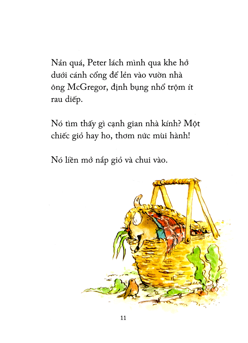 thỏ peter - chuyện bây giờ mới kể - nhà vô địch peter (tái bản 2021)