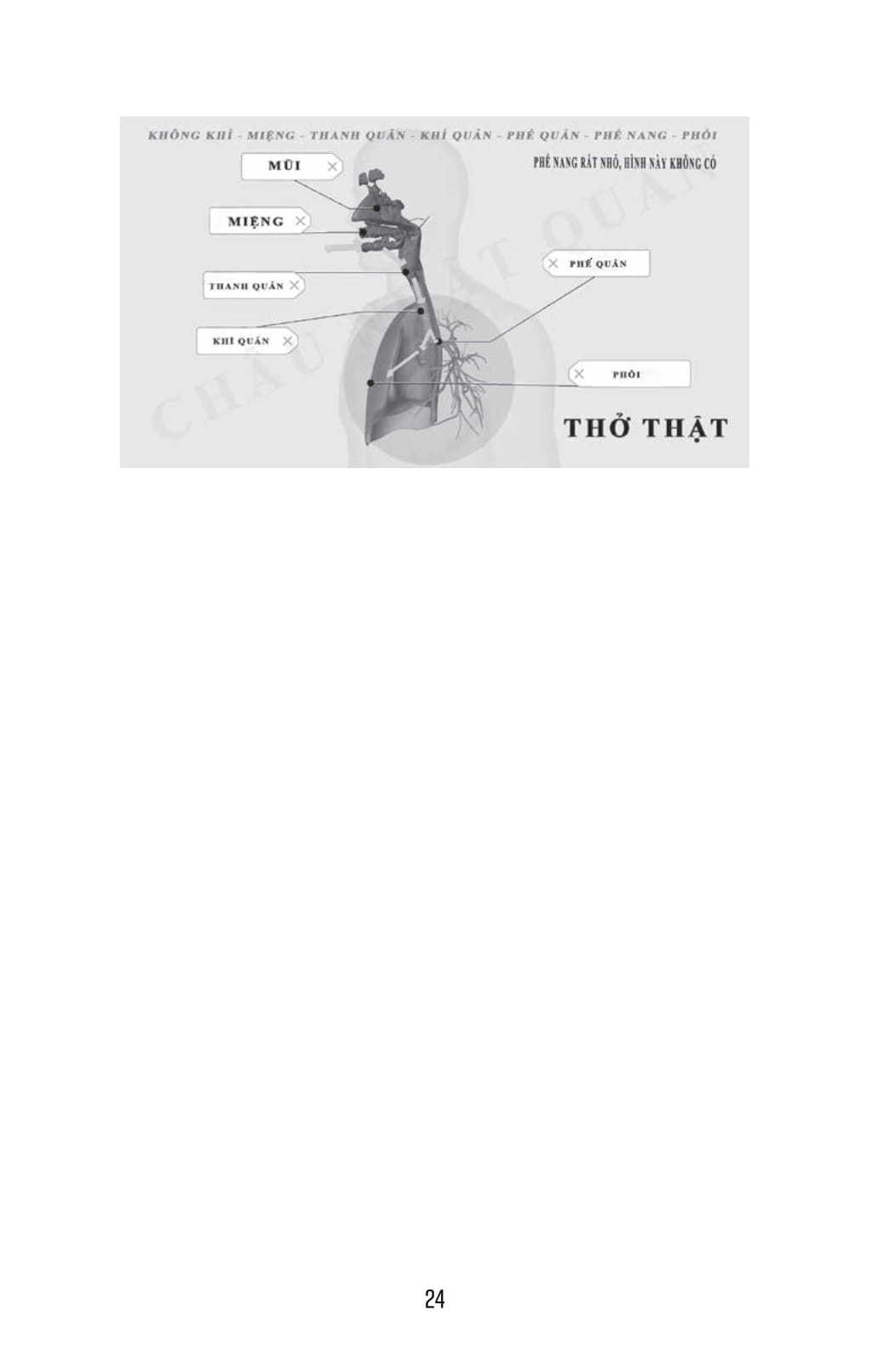 Tho That - Tho Gia - Thay Doi Nho-Khac Biet To - Bi Quyet Noi, Boi Xa Khong Met