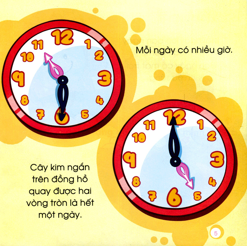 thỏ thông minh và một tuần lễ