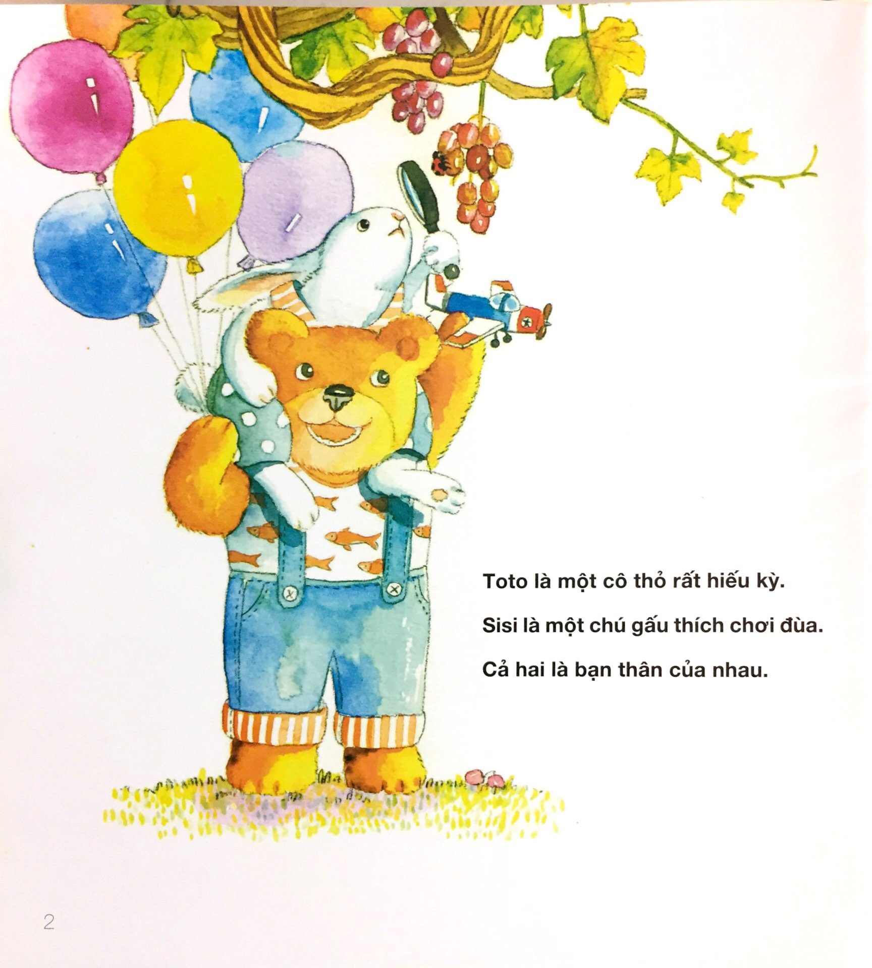 thỏ và gấu không giống nhau