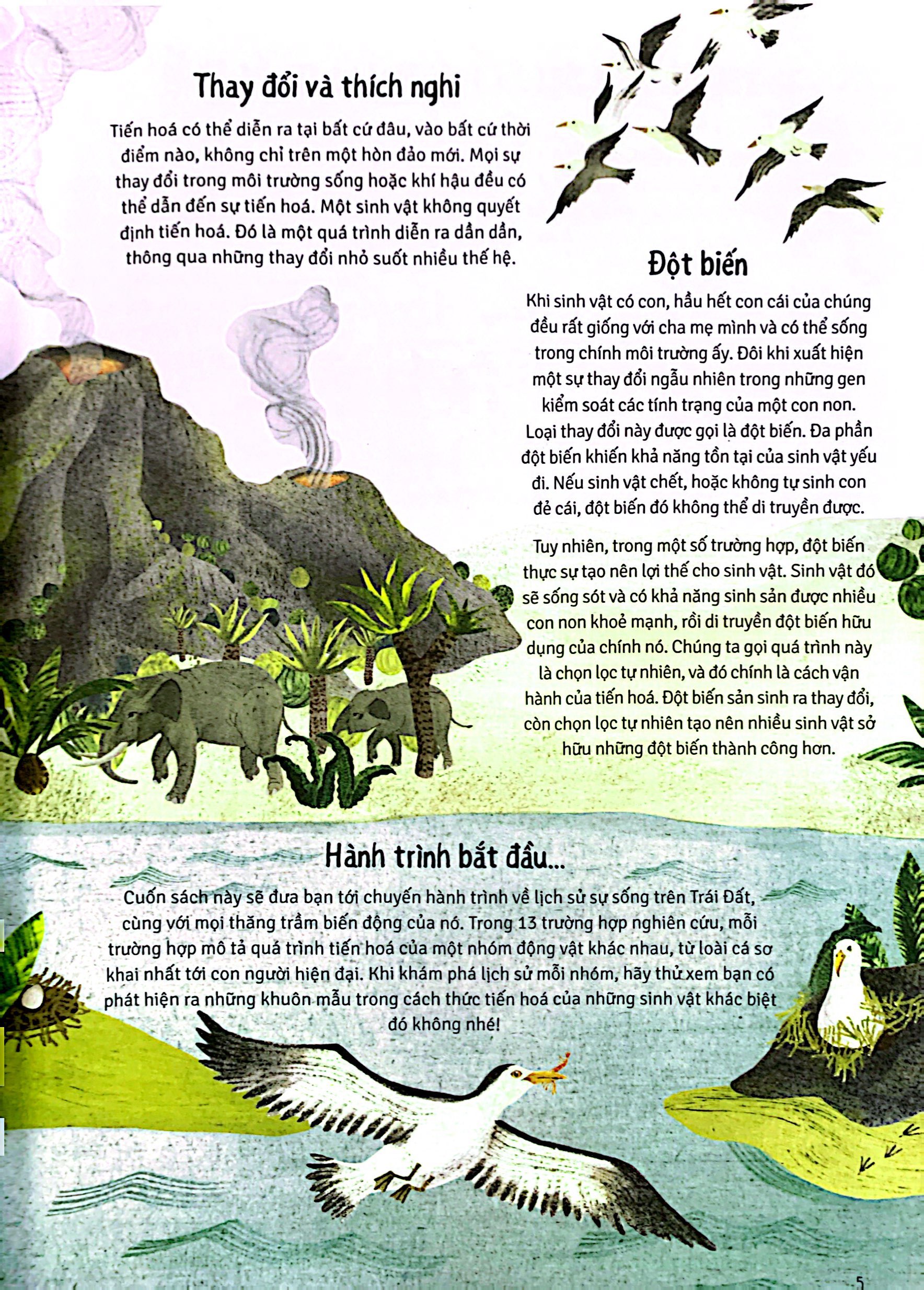 thời cá voi biết đi