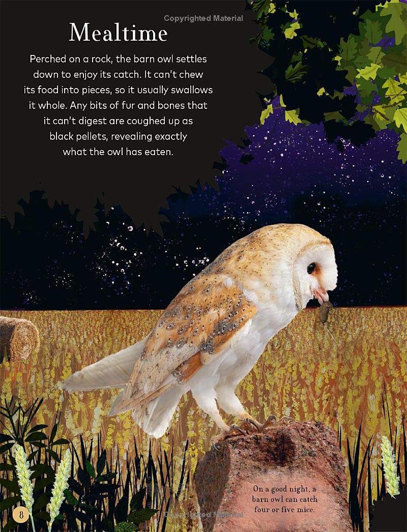 through the night sky: a collection of amazing adventures under the stars