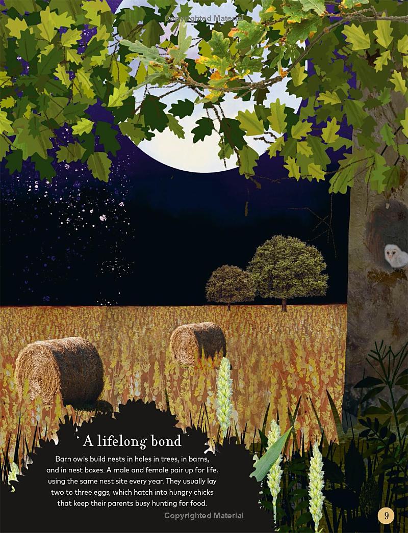 through the night sky: a collection of amazing adventures under the stars