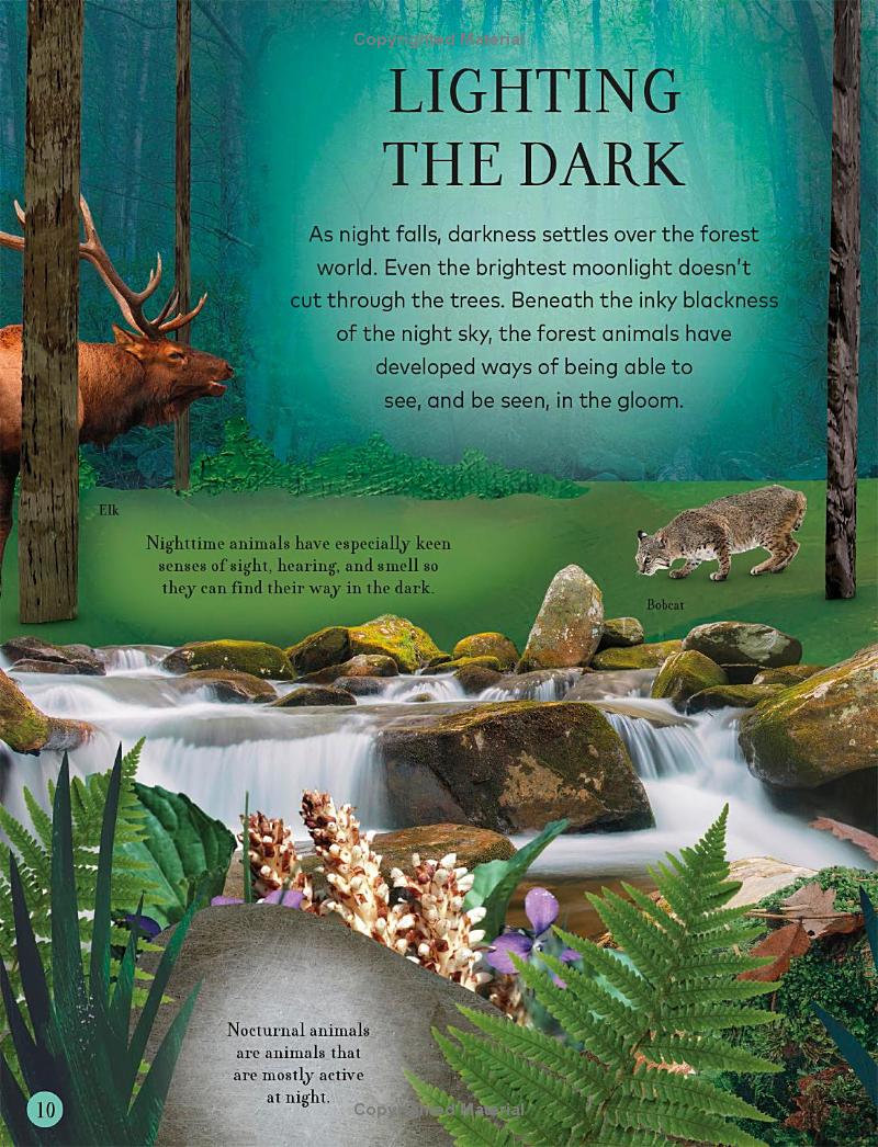 through the night sky: a collection of amazing adventures under the stars