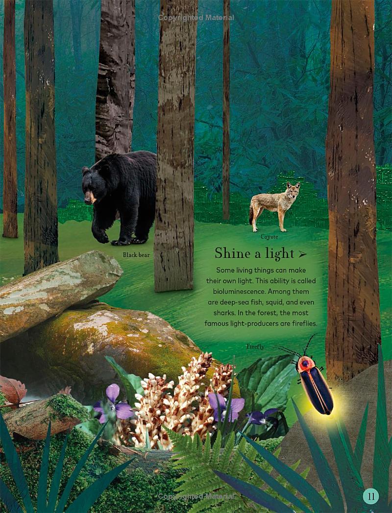 through the night sky: a collection of amazing adventures under the stars