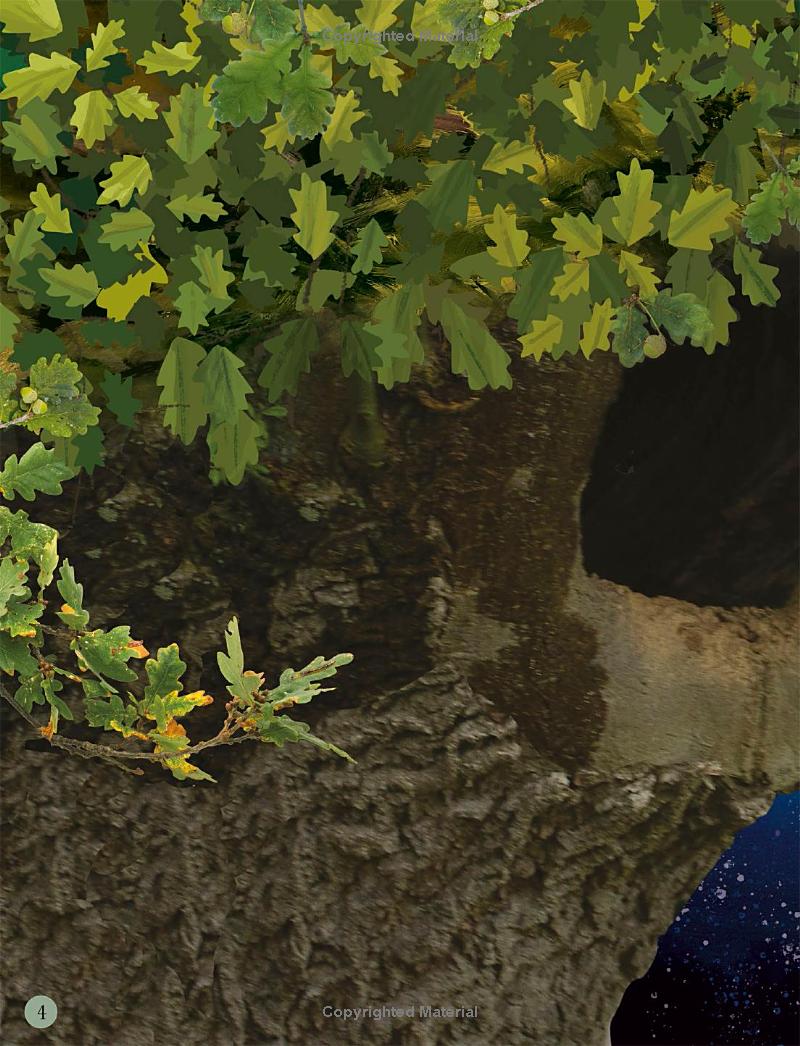 through the night sky: a collection of amazing adventures under the stars