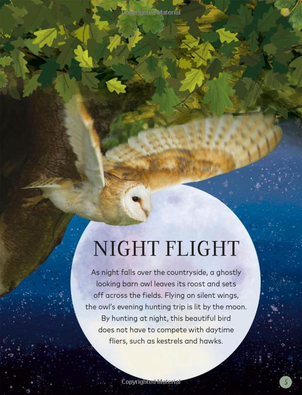through the night sky: a collection of amazing adventures under the stars