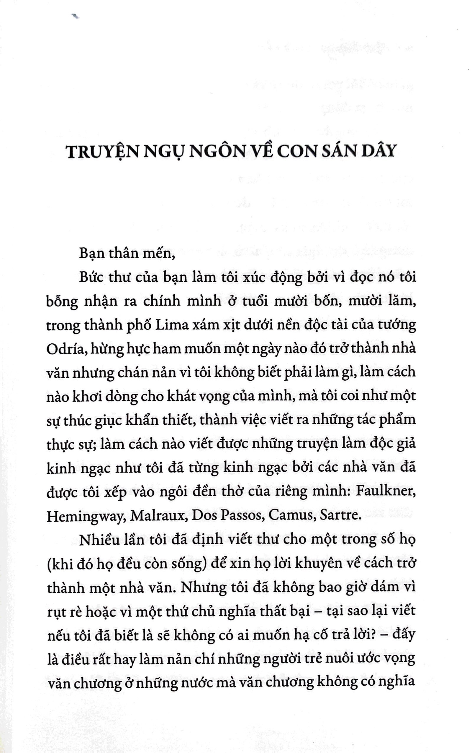 thư gửi nhà tiểu thuyết trẻ
