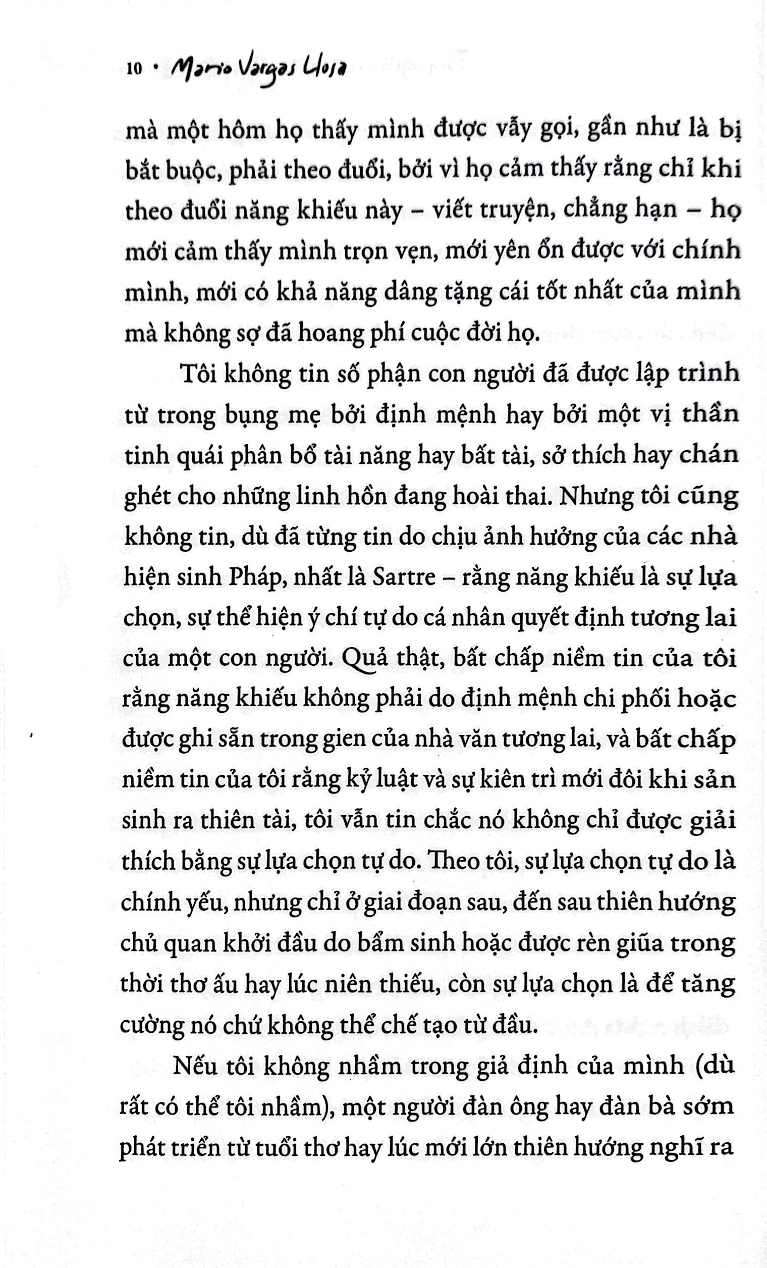 thư gửi nhà tiểu thuyết trẻ