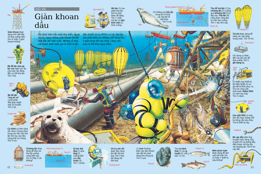 thử tài tìm kiếm - biển khơi