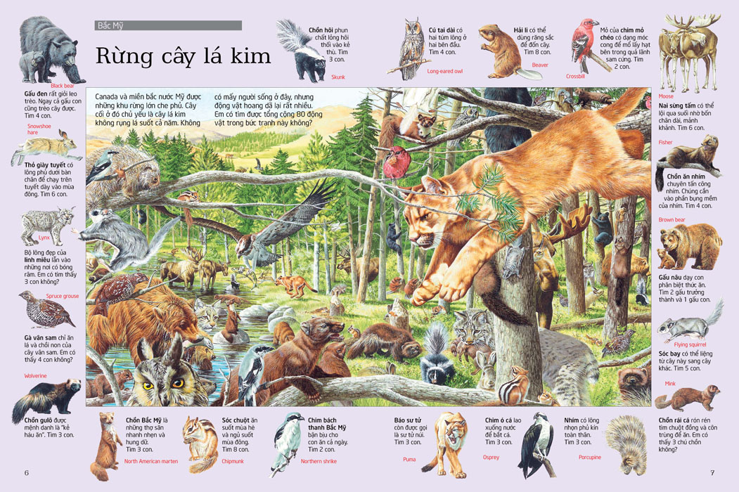 thử tài tìm kiếm - động vật (tái bản 2023)