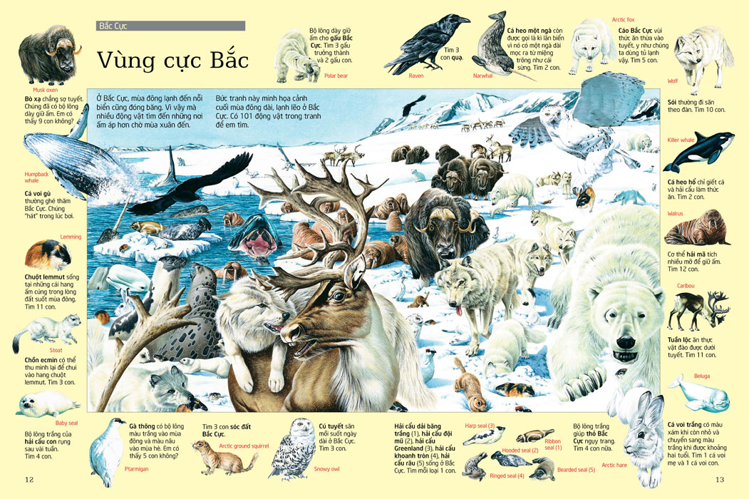 thử tài tìm kiếm - động vật (tái bản 2023)