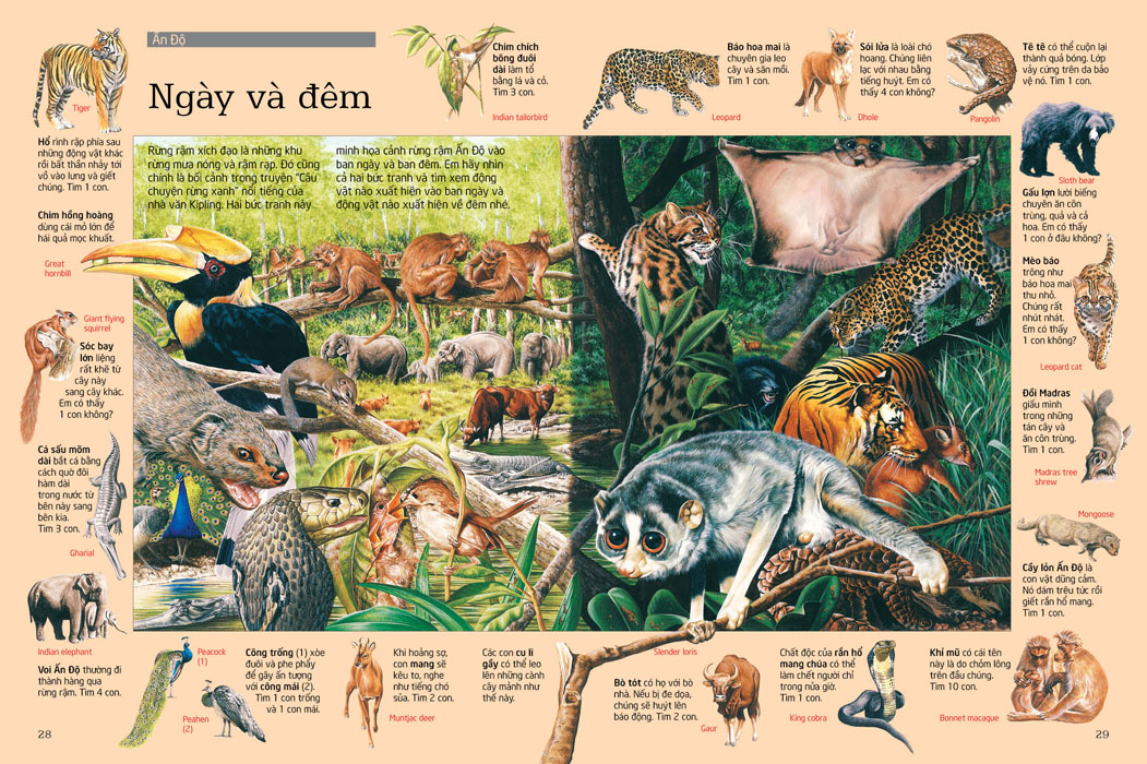 thử tài tìm kiếm - động vật (tái bản 2023)