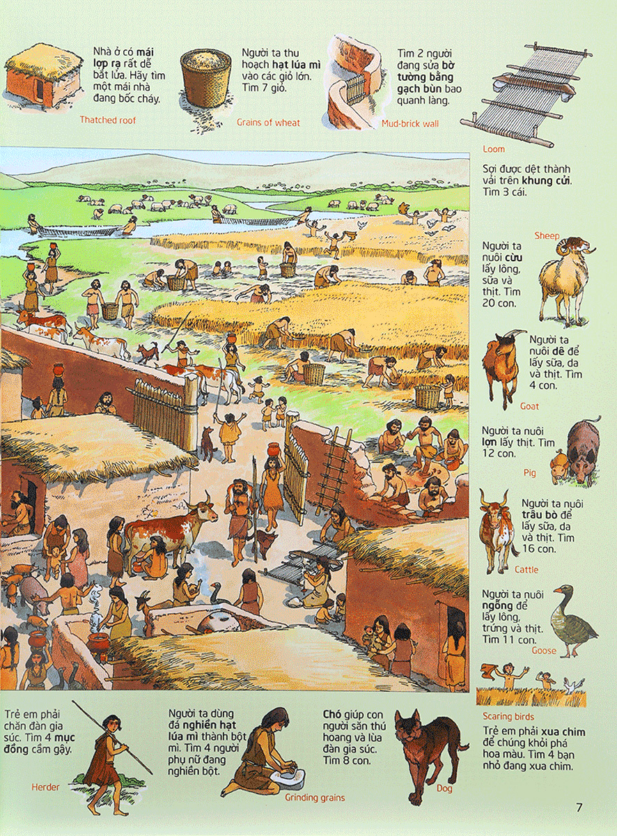 thử tài tìm kiếm - lịch sử (tái bản 2023)