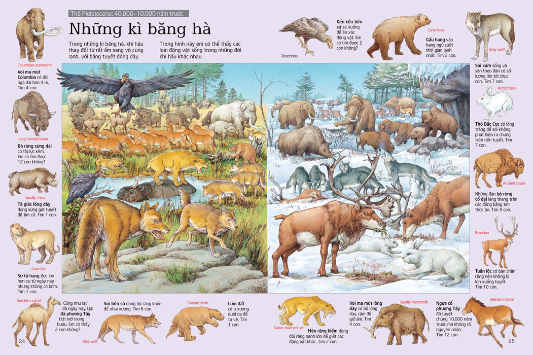 thử tài tìm kiếm - thành phố (tái bản 2023)