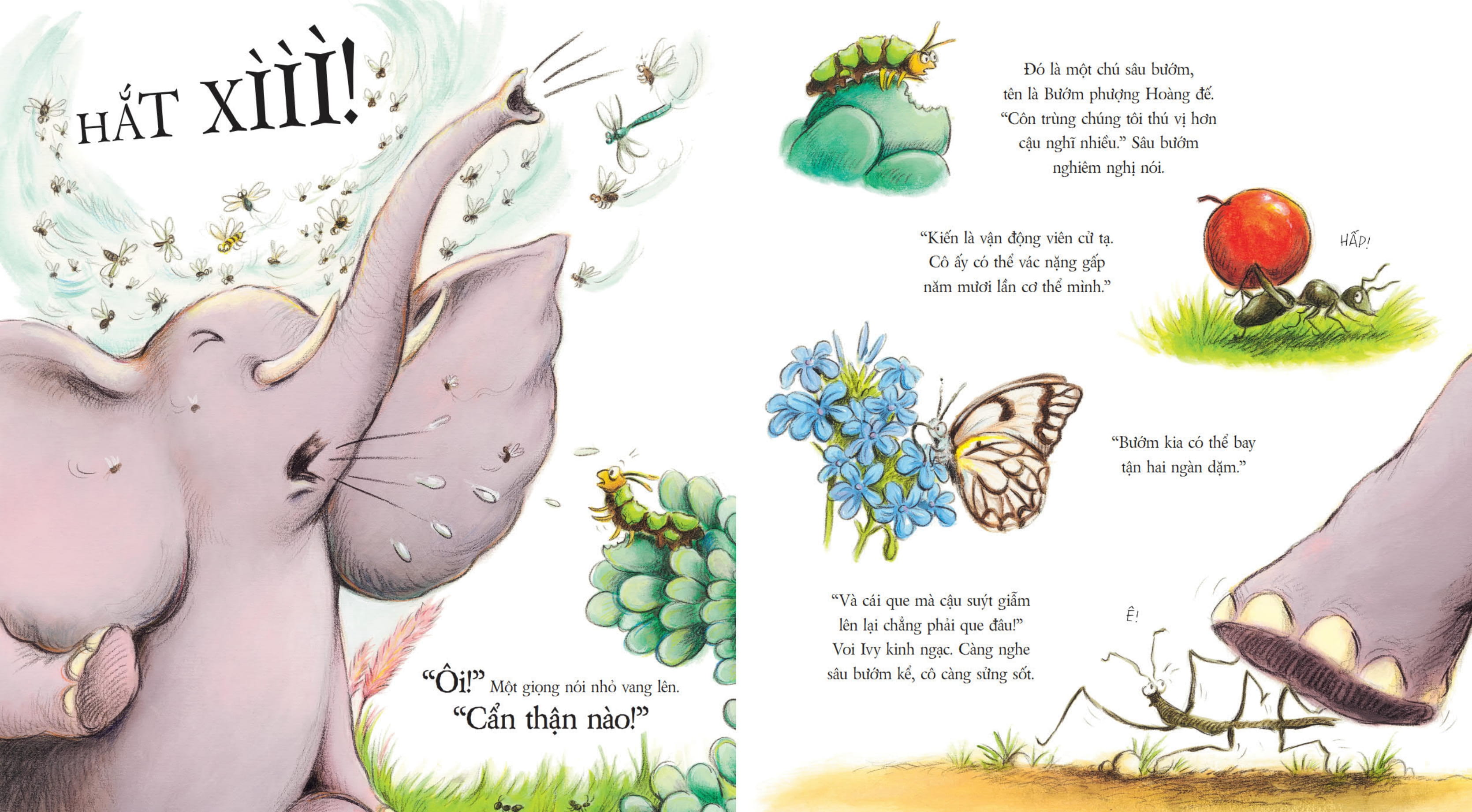 Thú Thám Hiểm - Voi Săn Lùng Côn Trùng