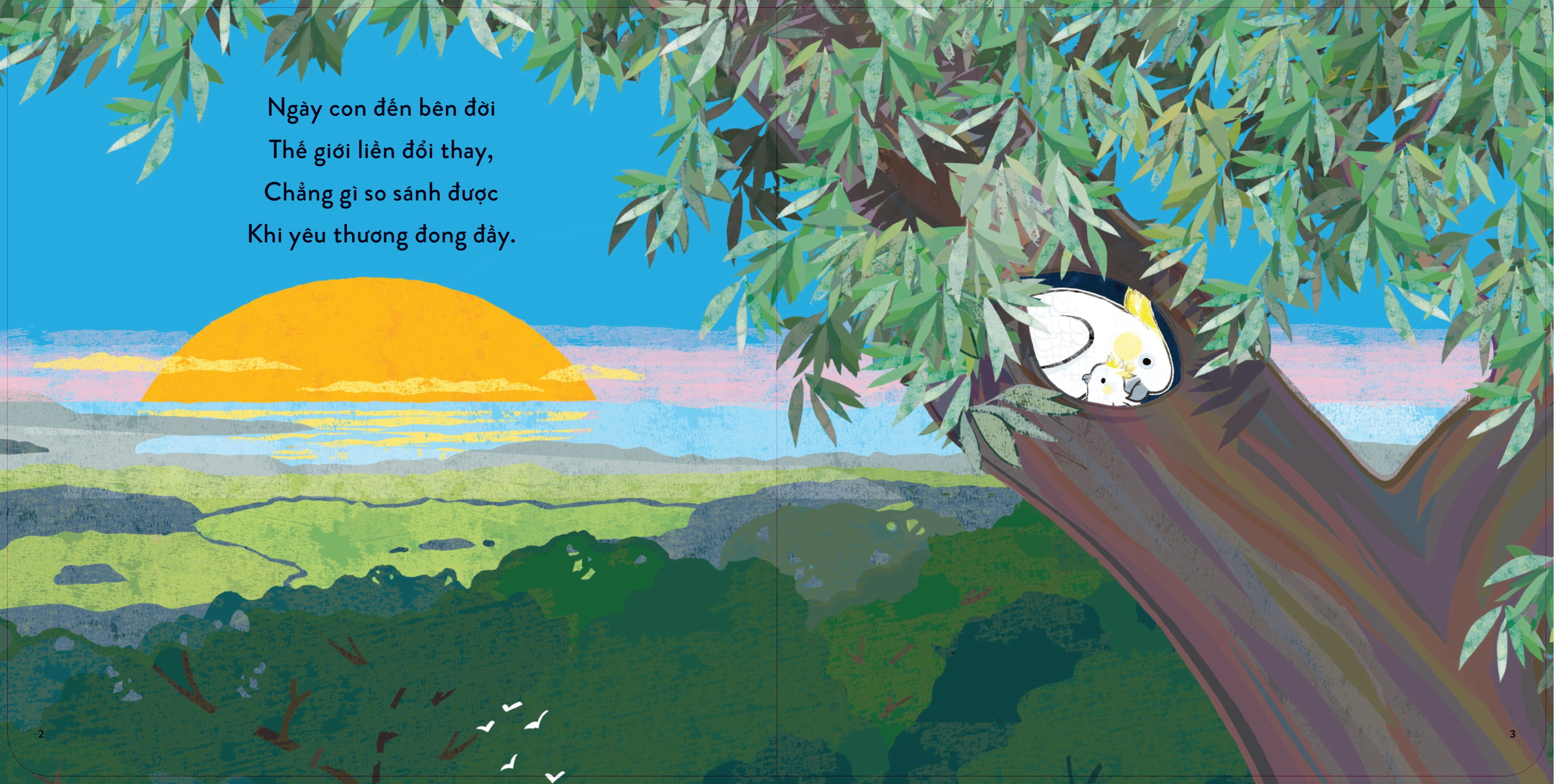 Thu Thi Cung Con - Sai Canh Tung Bay