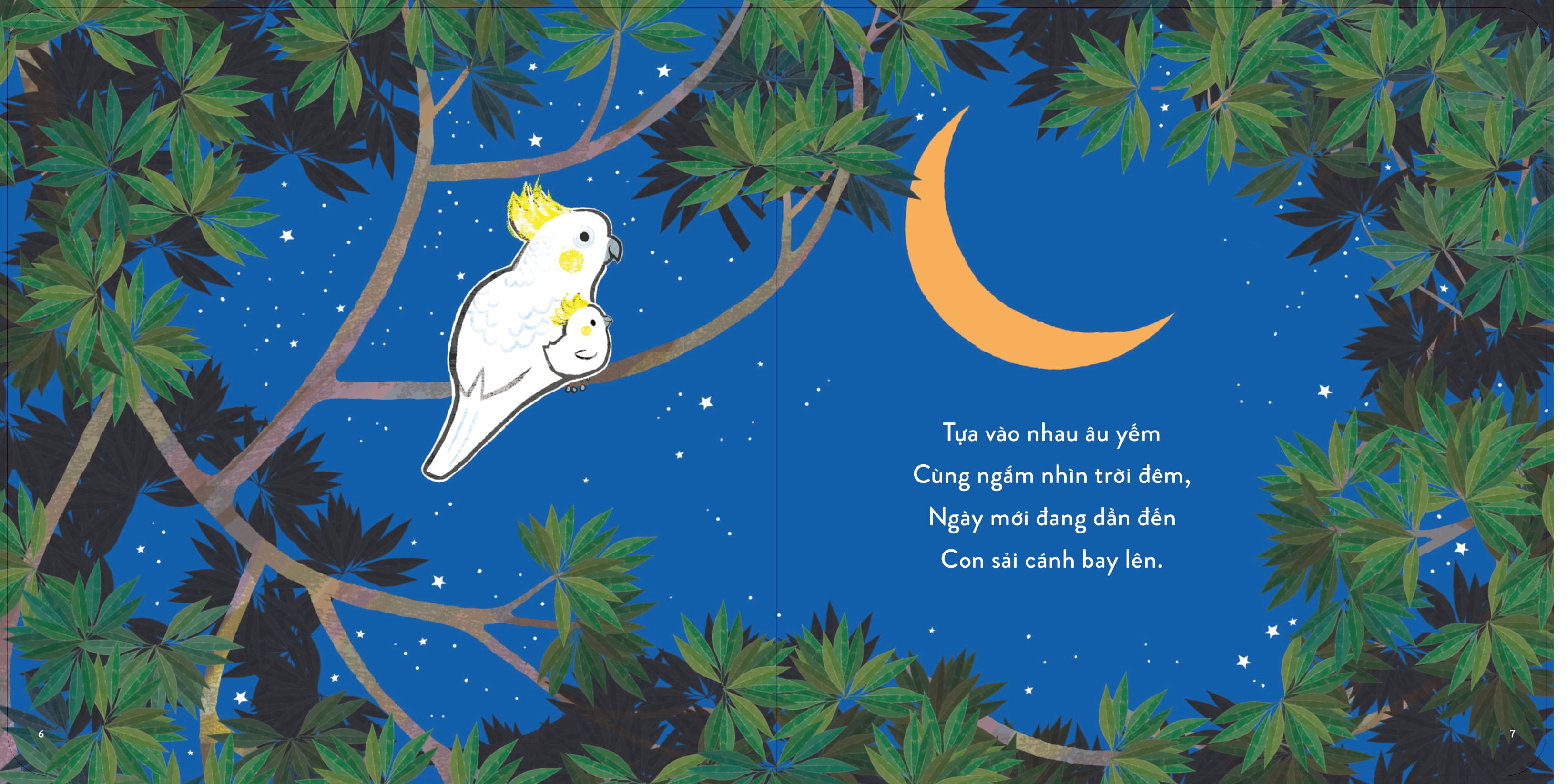 Thu Thi Cung Con - Sai Canh Tung Bay