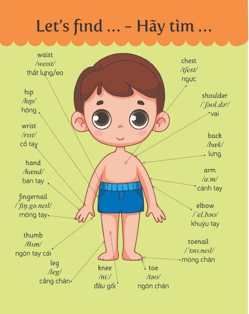 Thu Vien Hinh Anh Cho Be Moi Ngay - 600+ Tu Vung Tieng Anh Dau Tien Cho Be - Song Ngu Anh-Viet