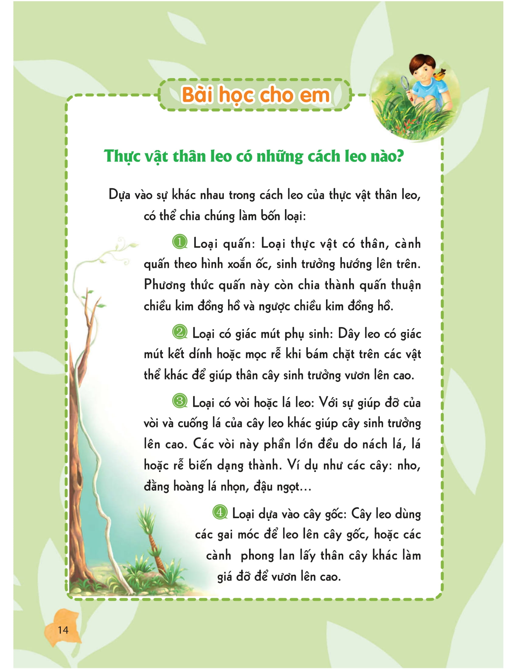 thư viện tri thức dành cho học sinh - khám phá thế giới tự nhiên